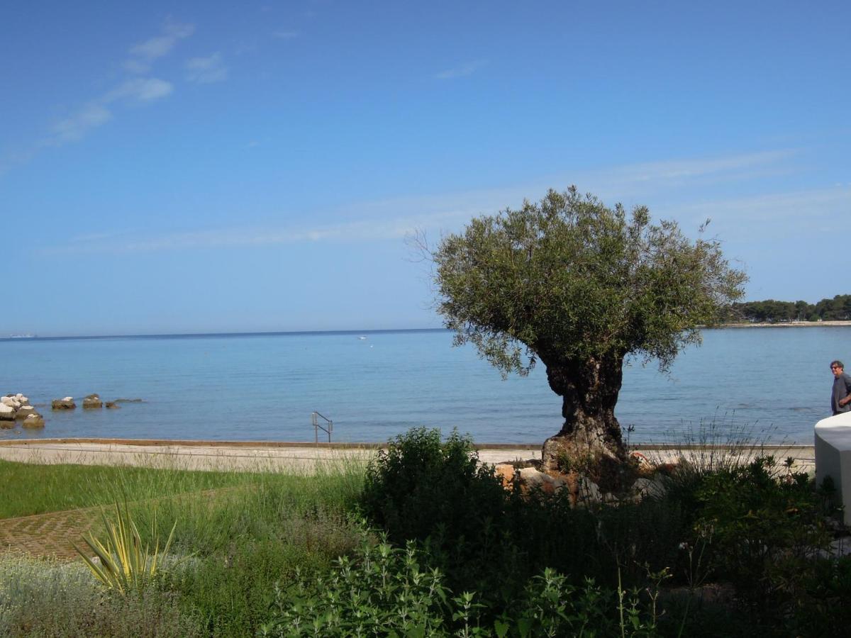 Stella Maris Appartement Umag Zewnętrze zdjęcie